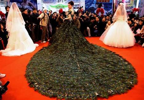  15 Million Peacock Wedding Dress
