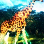 100 HD iPhone Retina Wallpapers