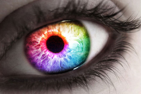 Colorful Eye Wallpaper BlackBerry Bold 9000 Wallpaper 101. These colorful eyes ...