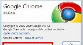Google Chrome Update Server Not Available: How to Fix it