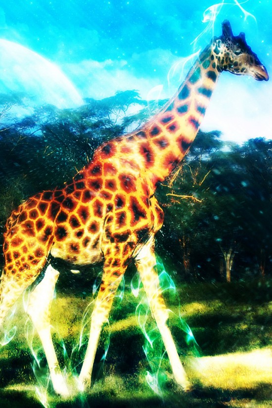 color-giraffe