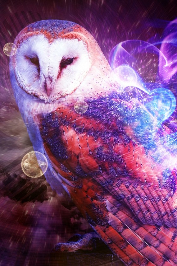 owl city zuhu