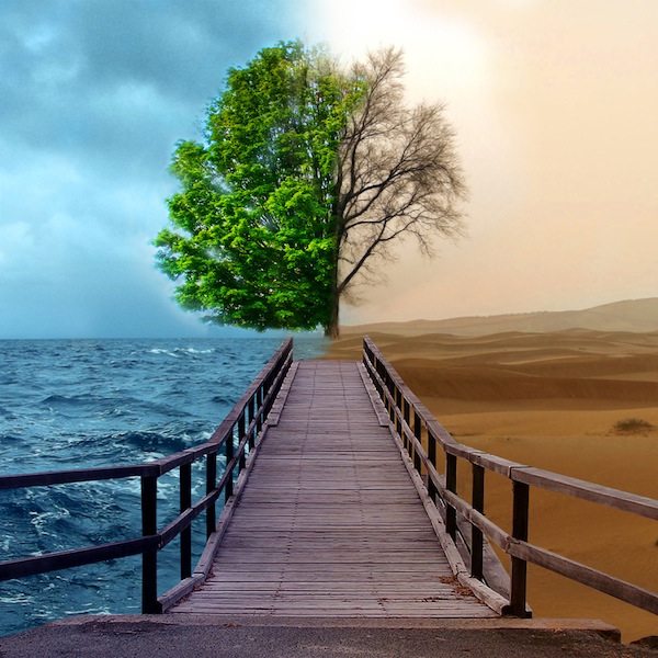 2 sides of Nature