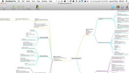 MindNode iPad App