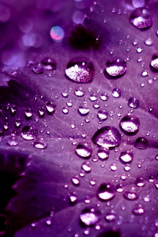 iPhone-4-Wallpaper-droplet