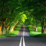 green-road-1024x1024-wallpaper-3774