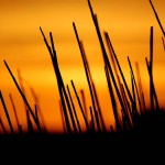 HTC Desire Wallpapers sunset hd