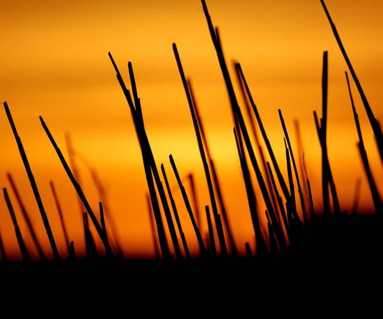 HTC Desire Wallpapers sunset hd