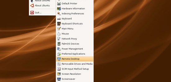 How to Enable and Use Remote Desktop in Ubuntu?