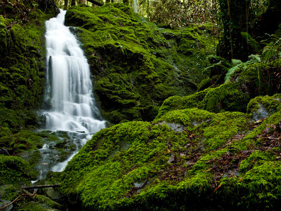 Camp Meeker Waterfall