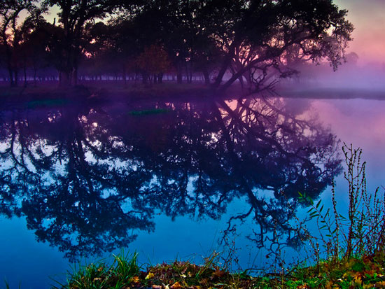 Sebastopol Lagoon