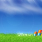 Fresh Windows 7 Wallpaper